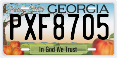 GA license plate PXF8705