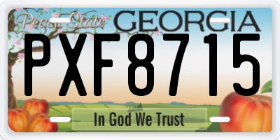 GA license plate PXF8715
