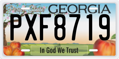 GA license plate PXF8719