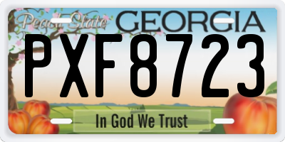 GA license plate PXF8723