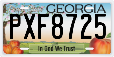 GA license plate PXF8725
