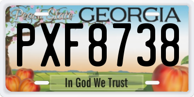 GA license plate PXF8738
