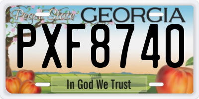 GA license plate PXF8740