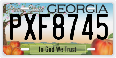 GA license plate PXF8745