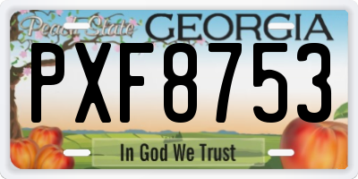 GA license plate PXF8753