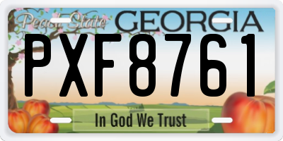 GA license plate PXF8761