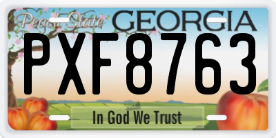 GA license plate PXF8763
