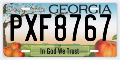 GA license plate PXF8767