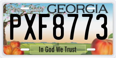 GA license plate PXF8773