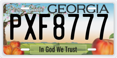 GA license plate PXF8777