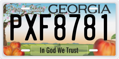 GA license plate PXF8781