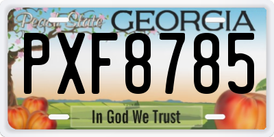 GA license plate PXF8785