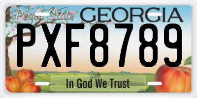 GA license plate PXF8789