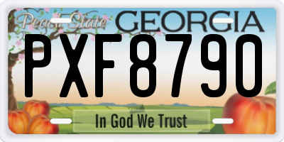 GA license plate PXF8790