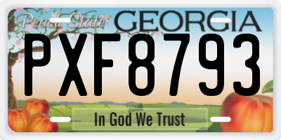 GA license plate PXF8793