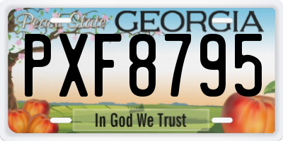GA license plate PXF8795