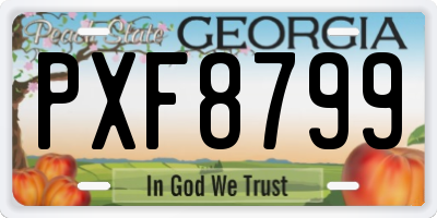 GA license plate PXF8799