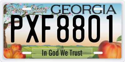 GA license plate PXF8801