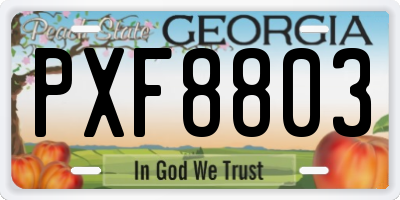 GA license plate PXF8803