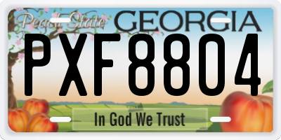 GA license plate PXF8804