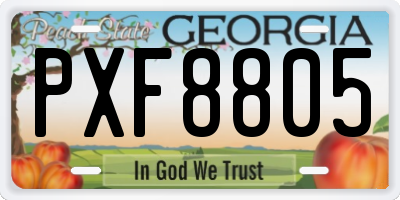 GA license plate PXF8805