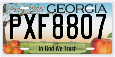 GA license plate PXF8807