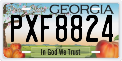 GA license plate PXF8824