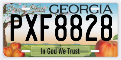 GA license plate PXF8828