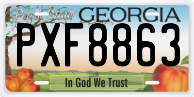 GA license plate PXF8863