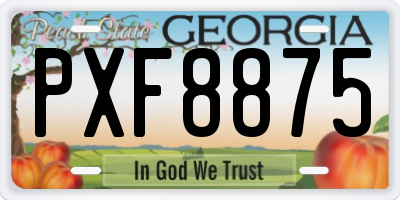 GA license plate PXF8875