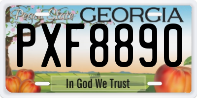 GA license plate PXF8890