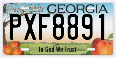 GA license plate PXF8891