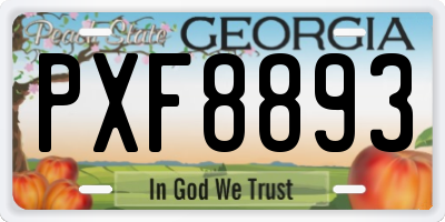 GA license plate PXF8893