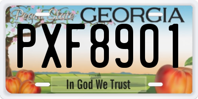 GA license plate PXF8901