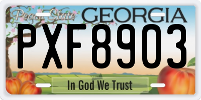 GA license plate PXF8903