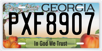 GA license plate PXF8907