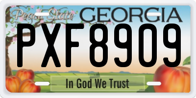 GA license plate PXF8909