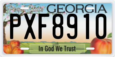 GA license plate PXF8910