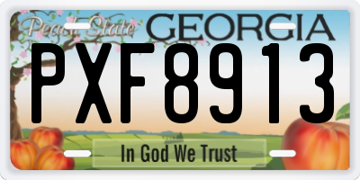 GA license plate PXF8913