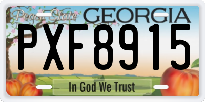 GA license plate PXF8915