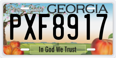 GA license plate PXF8917