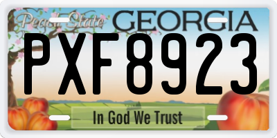 GA license plate PXF8923