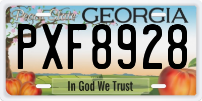 GA license plate PXF8928