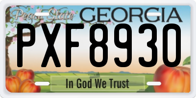 GA license plate PXF8930