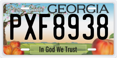 GA license plate PXF8938
