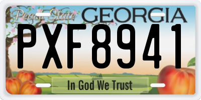 GA license plate PXF8941
