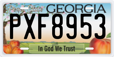 GA license plate PXF8953