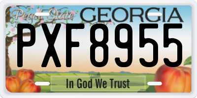 GA license plate PXF8955