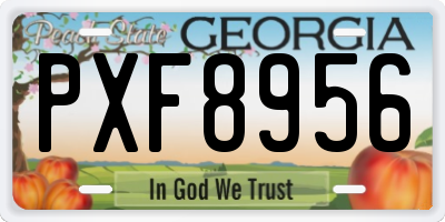 GA license plate PXF8956
