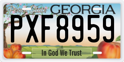GA license plate PXF8959